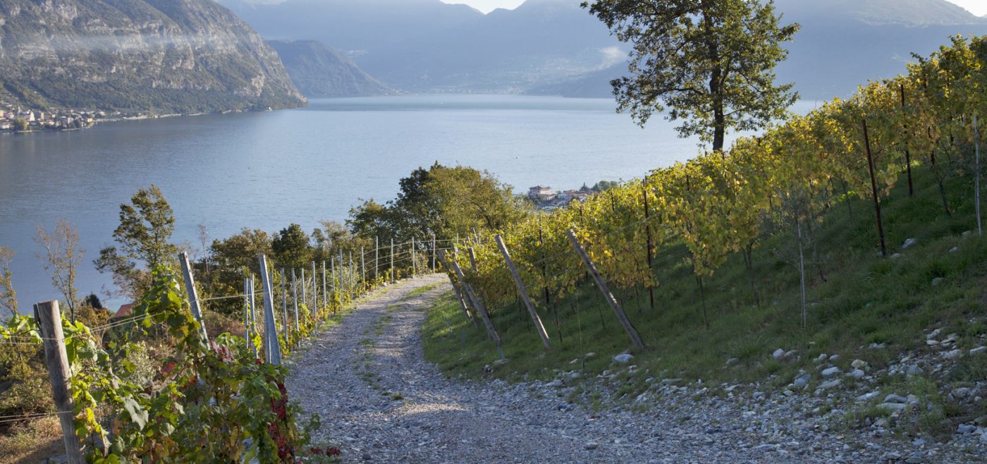 Franciacorta - Lago Iseo