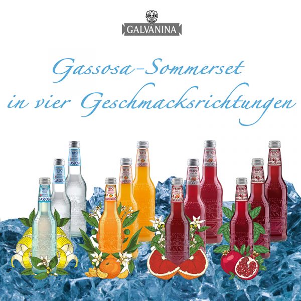 Gassosa Galvanina Sommerset